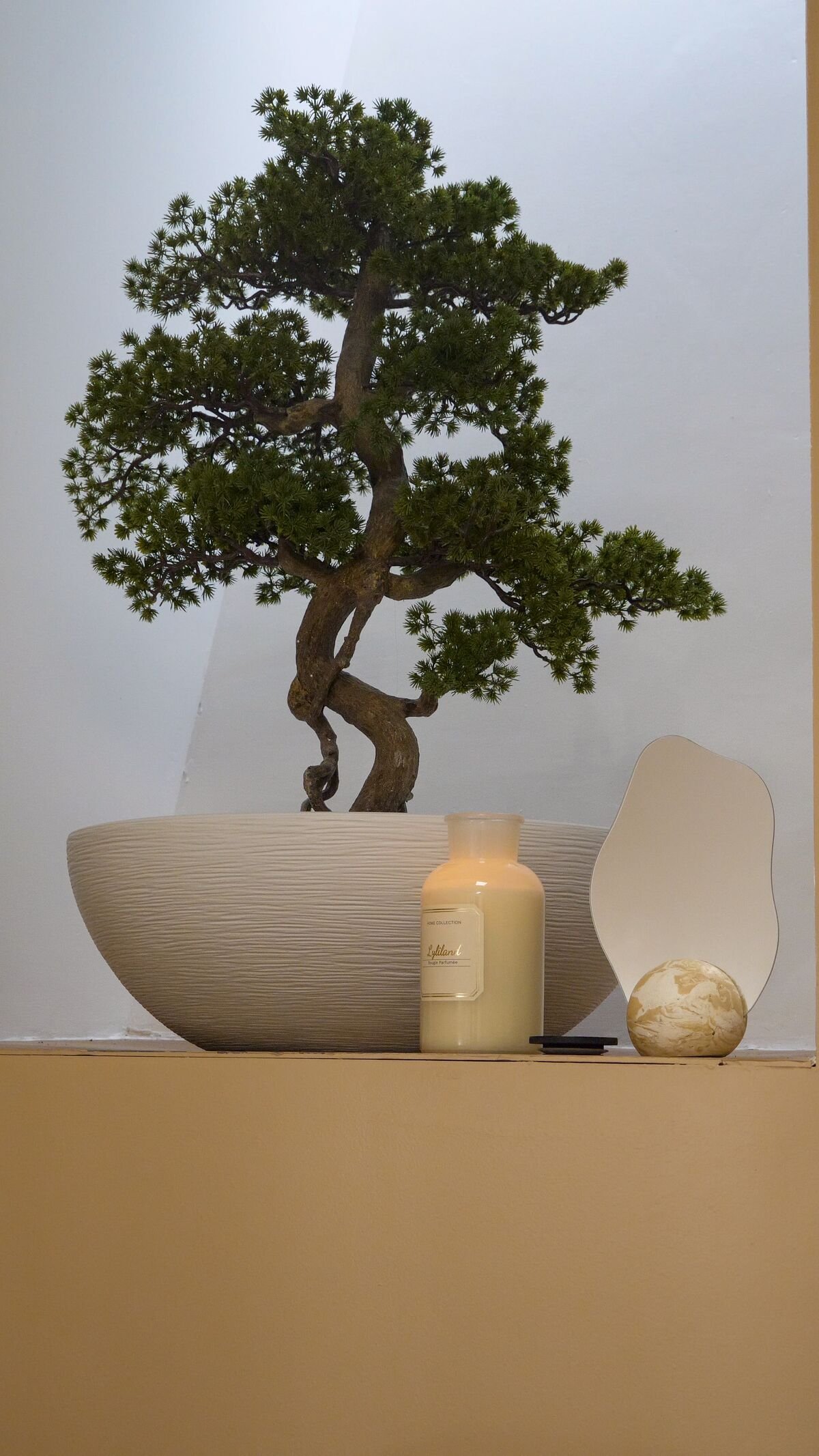 Bonsaï et objets de décoration mis en scène en boutique